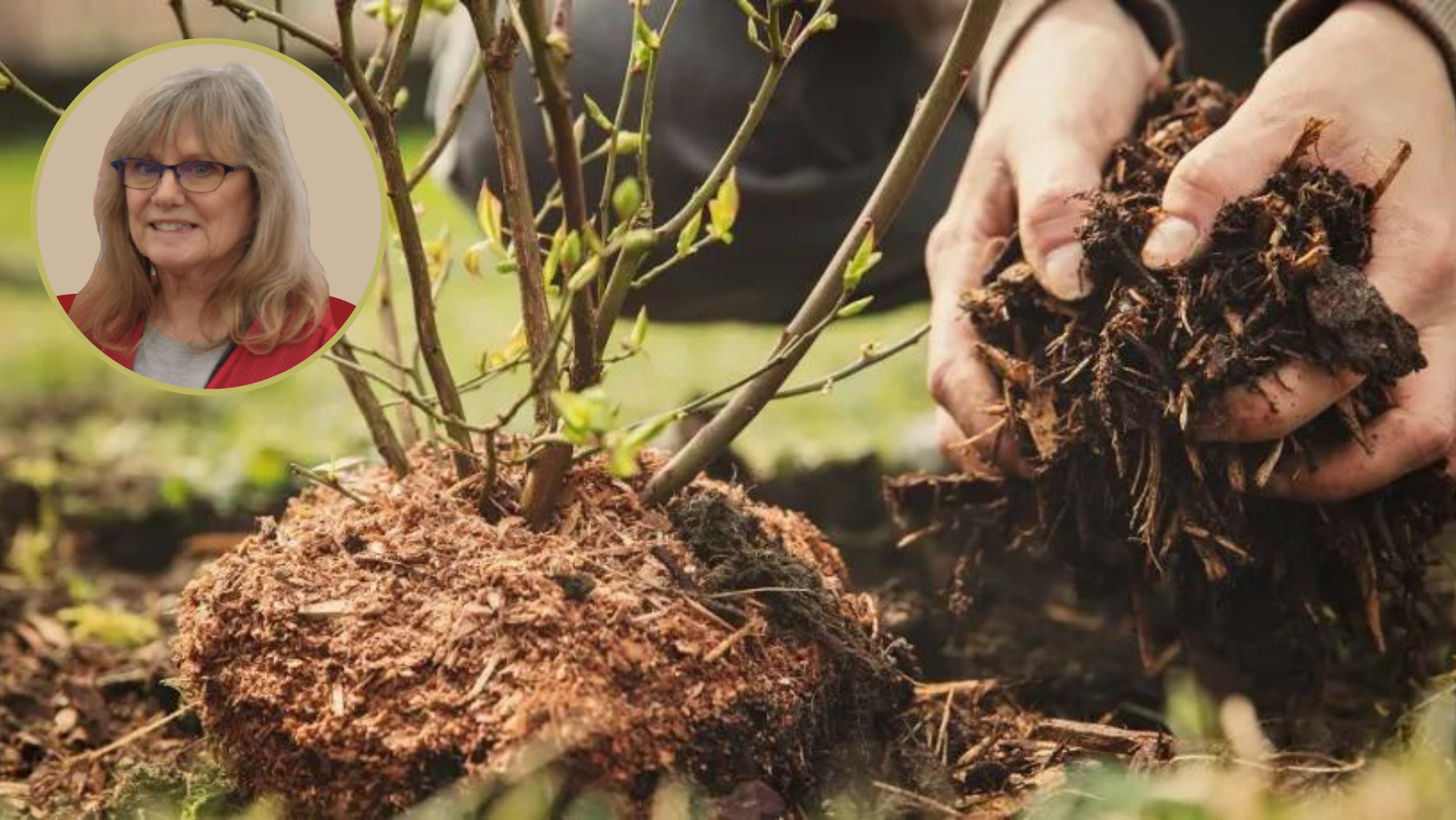 Lady Ace Talks “Gardening” Jan 2024